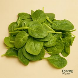 Organic Salad – Baby Spinach (100g) Australia