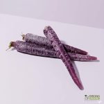 Organic Carrots - Purple (250g) Australia