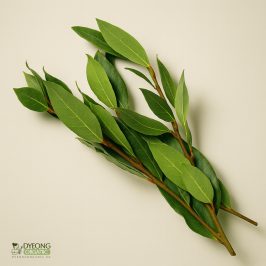 Organic Herbs – Bay Leaves (25g) Australia