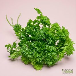 Organic Herbs – Parsley, Curly (25g) Australia