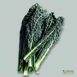 Organic Kale – Dino (400g) Australia