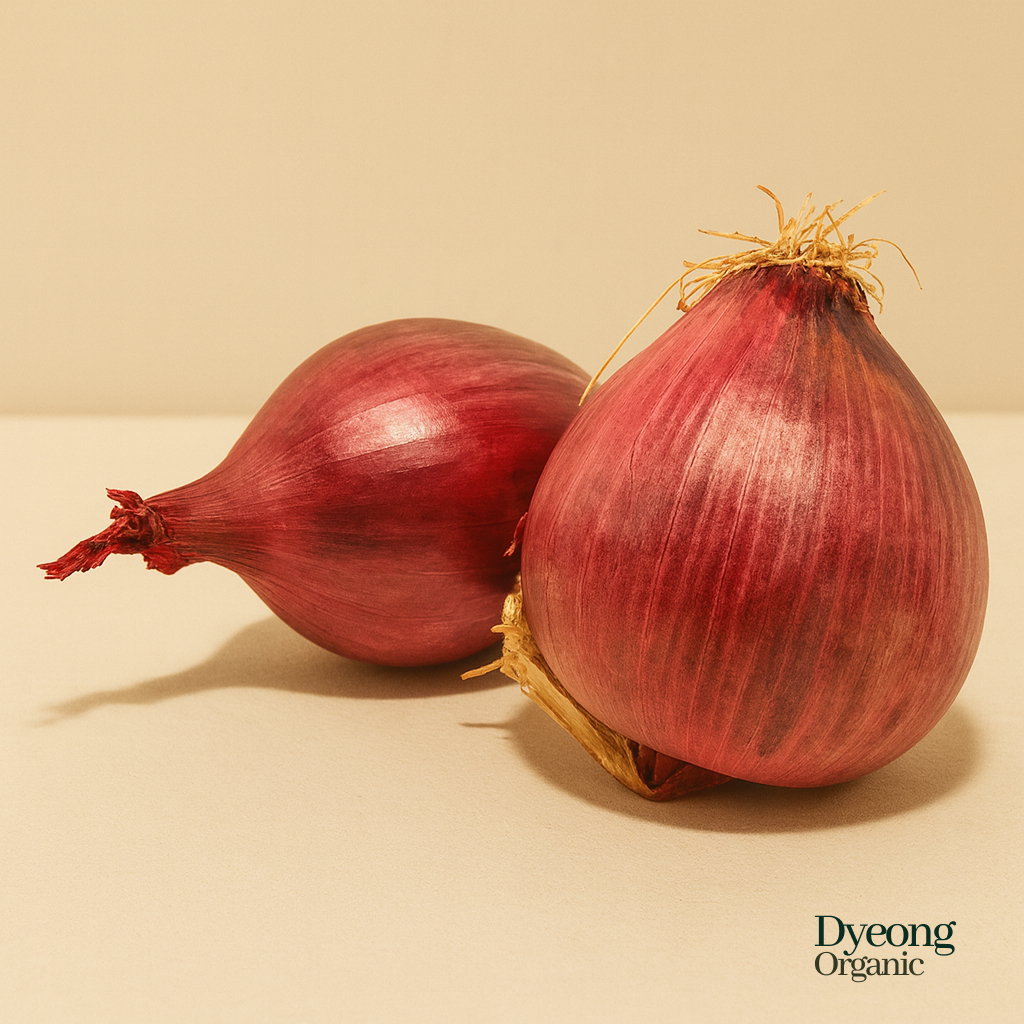 Organic Onions - Red (250g) Australia