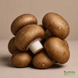 Organic Mushroom – Swiss Brown (100g) Australia