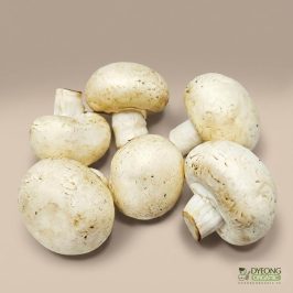 Organic Mushroom – White Button (100g) Australia